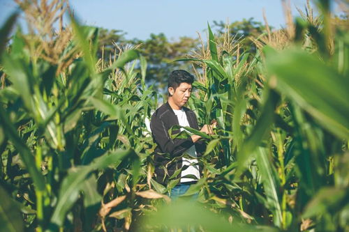 农大夫妻的现实版“去有风的地方” 用心打造属于自己的农产品梦想