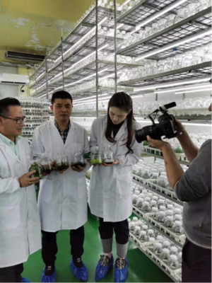 国坤堂铁皮石斛荣获国家农产品地理标志保护产品