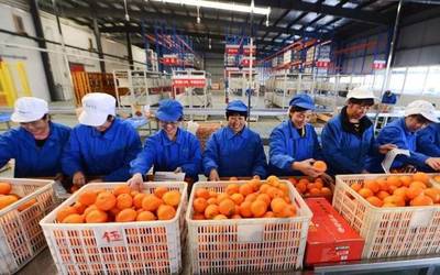 水产养殖赋能乡村振兴，湖北四企入选全国典型案例