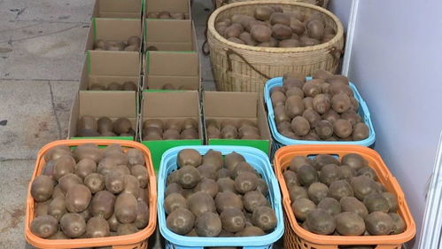 河源乡村振兴农产品展销会开幕 300多种特色农产品，共绘乡村新画卷