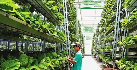 热带特色高效品牌互联互通 海南“农”字号借冬交会翩翩起舞