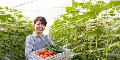 三产融合，共赢未来 如何将休闲农业、乡村旅游与有机农产品种植打造成最佳营销组合