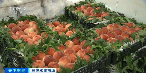 应季水果价格走低 健康与实惠兼得的甜蜜时刻