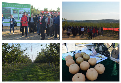 强化技术引领，加快推进水产养殖现代化